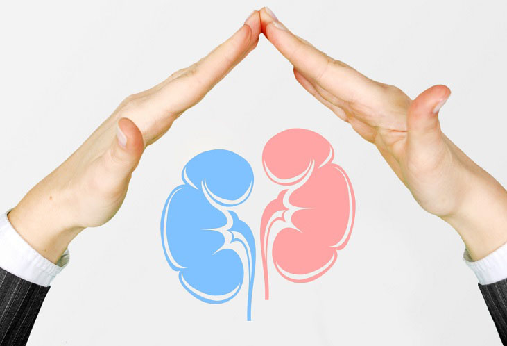 預(yù)防腎病，從生活細(xì)節(jié)做起