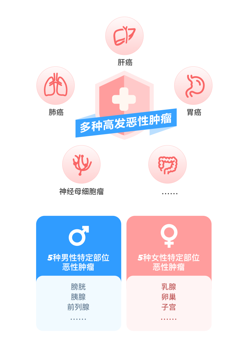 高發(fā)癌癥精準(zhǔn)保障 男女特定疾病額外賠